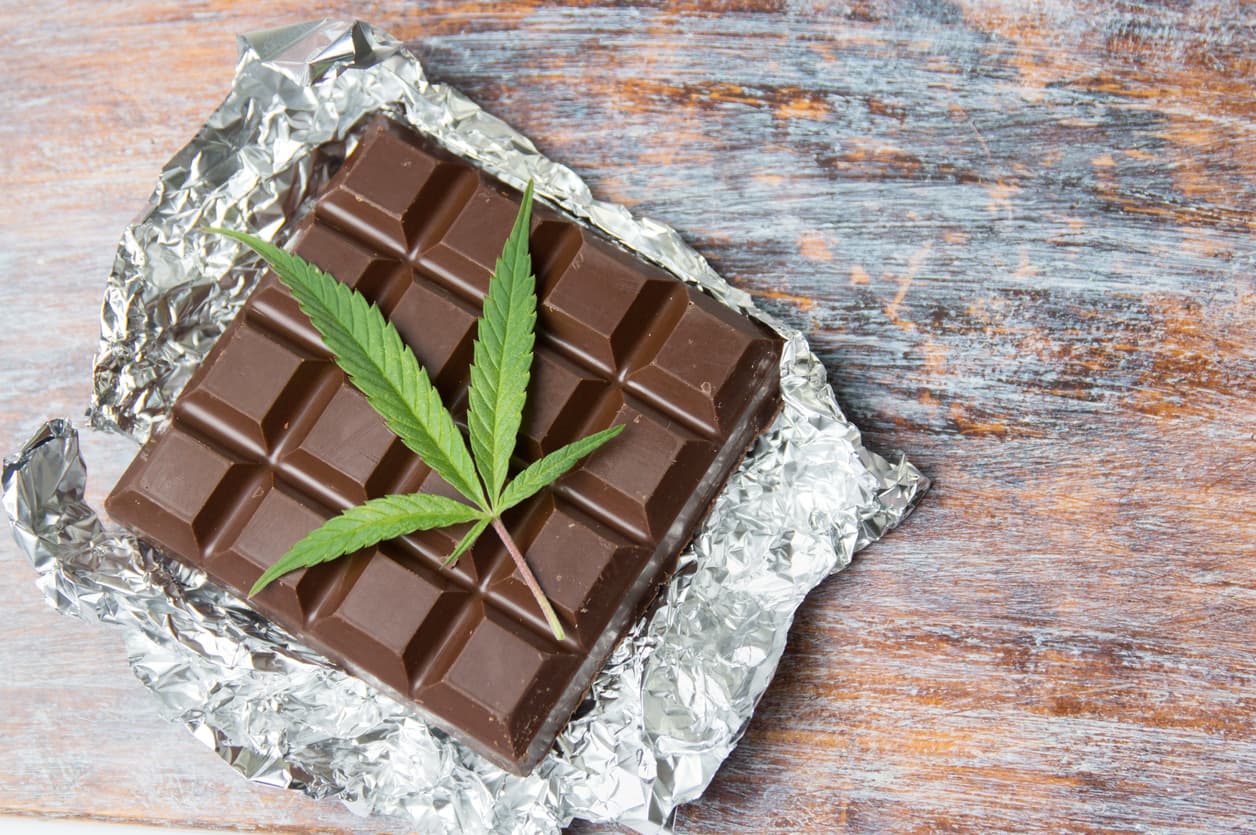 Marijuana leaves on top of dark chocolate