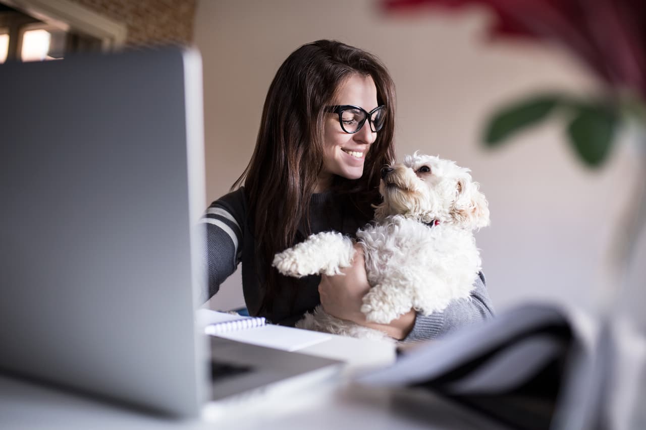 Reducen el estrés. Acariciar a la mascota ayuda a reducir los sentimientos de estrés, ansiedad y depresión, razón por la que el experto recomienda jugar, pasear e incluso hablar con las mascotas para despejar la mente.