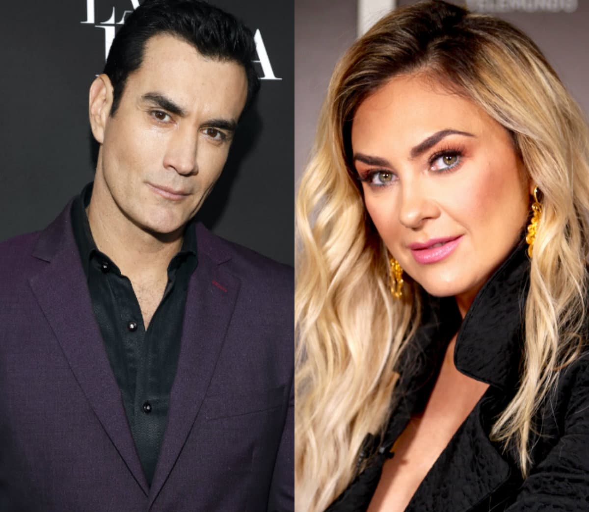 David Zepeda aclara si es verdad que tuvo un romance con Aracely Arámbula